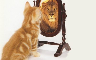 Le temps de se regarder dans un miroir