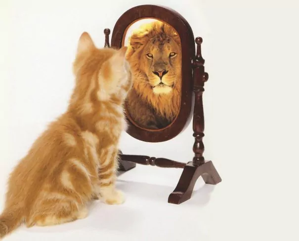 Le temps de se regarder dans un miroir